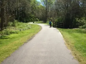 Lineberger Park