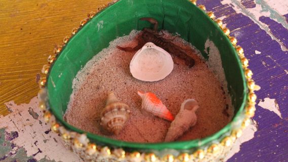 Isla de los Alacranes