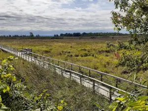 Cooper Marsh Conservation Area