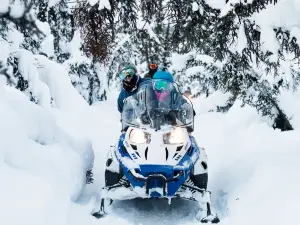 Fairbanks Snow Sleighers