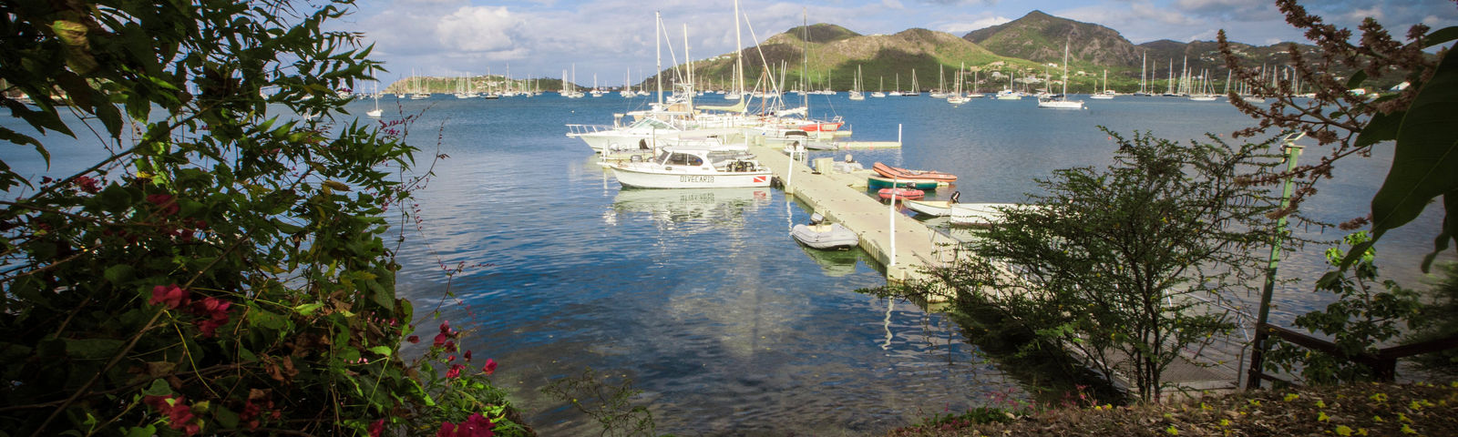 PiccadillyWi-Fi & SIM cards