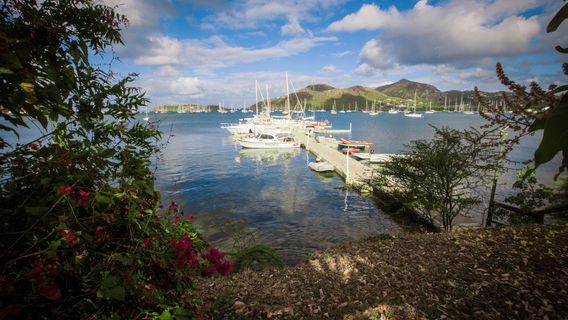 DiveCarib