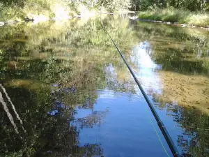 Sugar Grove Trophy Trout Farm