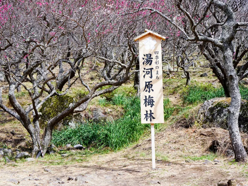 Yugawara