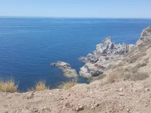 Estero el Soldado, Area Natural Protegida