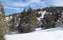 Зааминский национальный парк