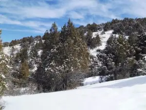 Parco nazionale di Zaamin