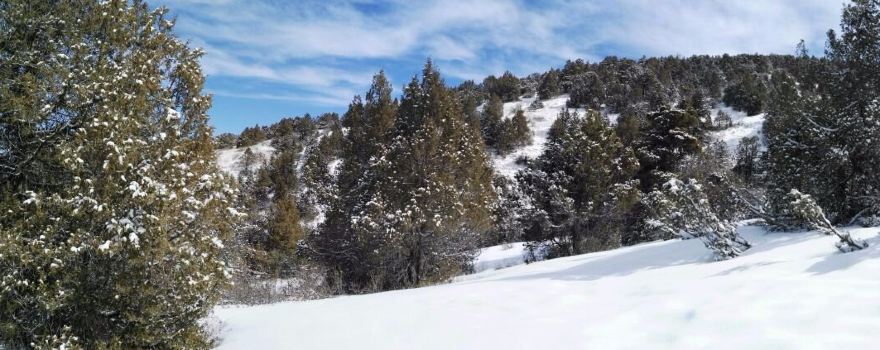 Zaamin National Park