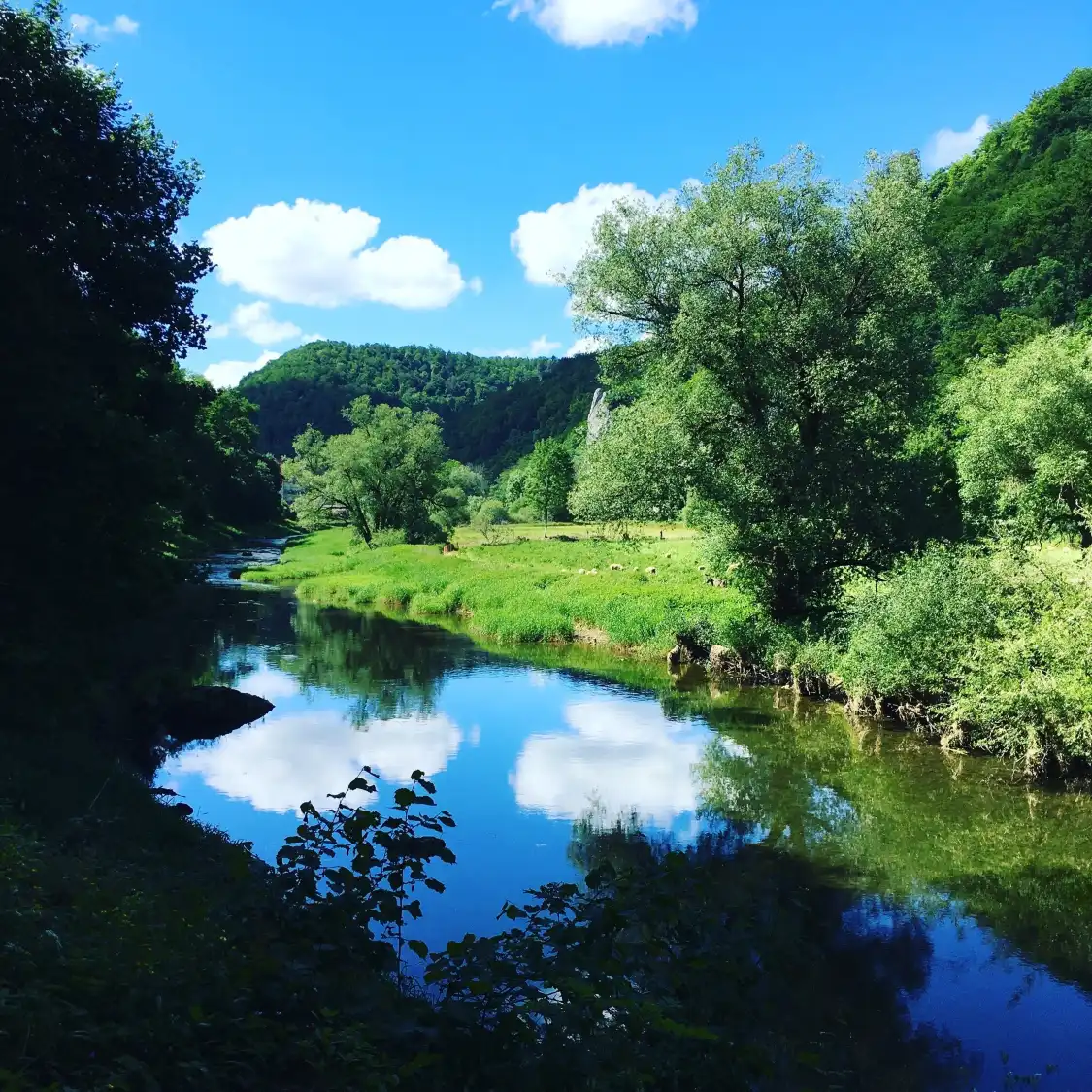 Hotels in der Nähe von Naturpark Obere Donau e.V.