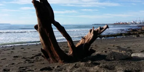 Spriggs Park Reserve Playground