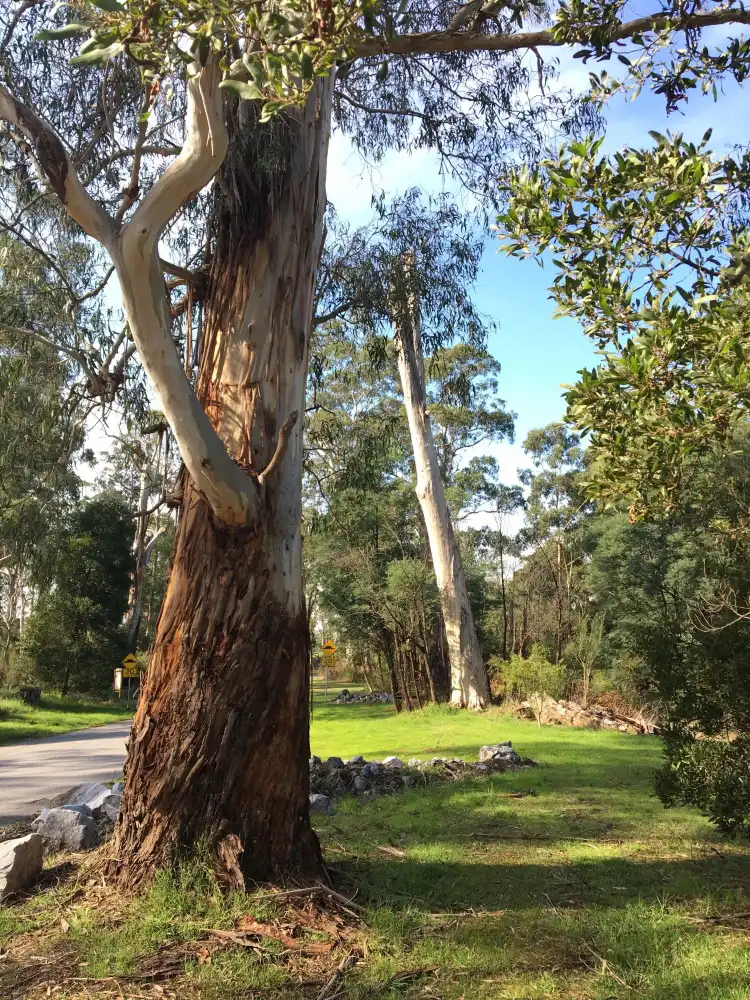 Hotels in Drouin West