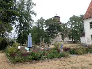 Naturum Gotland