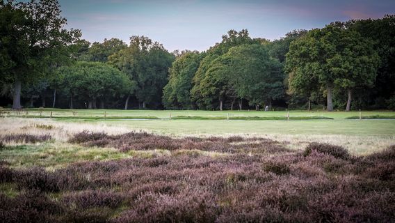 Limpsfield Chart Golf Club