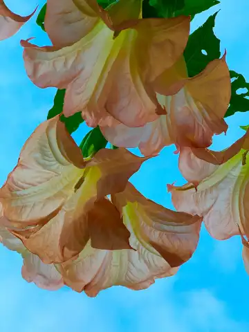 Hotels near Church of the Child Jesus