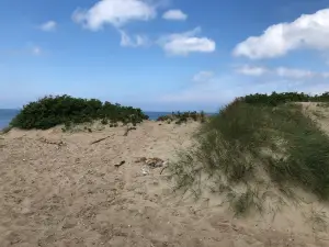 Tisvildeleje Beach