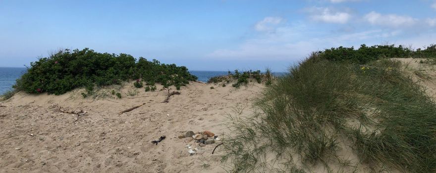 Tisvildeleje Beach