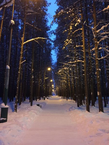Magas to Ukhta Flights