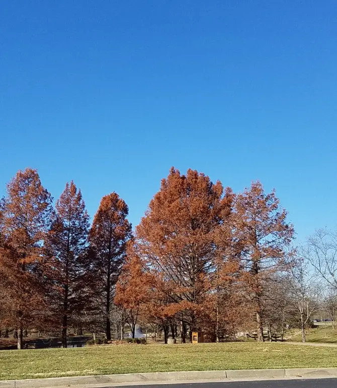 Spencer Creek Township