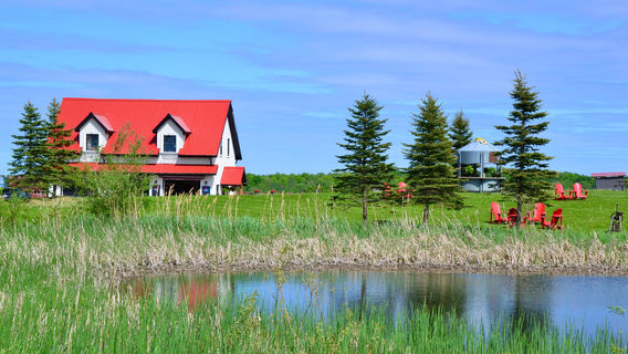 Duntroon Cyder House & Farm