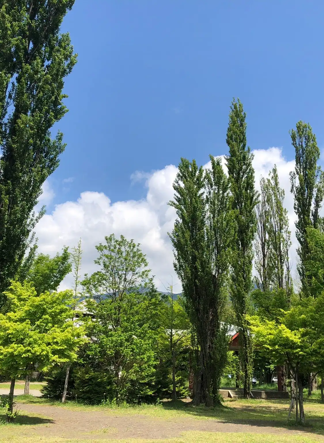 Hotels near Oike Park