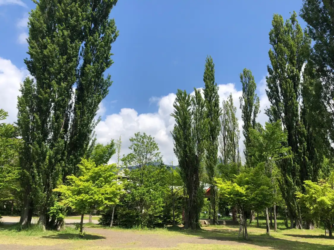 Hotels near Oike Park
