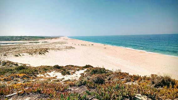 Beach Vigia