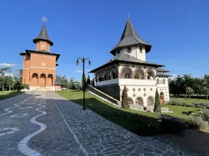 Monastery New Scărișoara