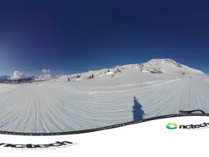 SATA - Alpe d'Huez - Caisse lifts Bergers