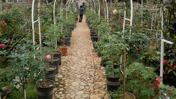 Nhà văn hóa khu Yên Sơn