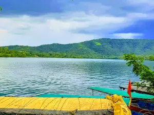 Koyna River