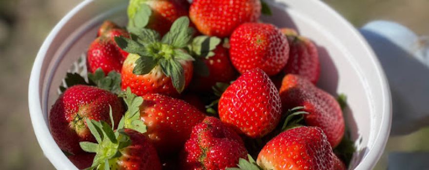 Brown & Brown Farms and Country Store