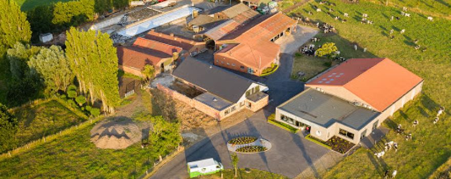 Baliehof Cheese and Dairy Farm
