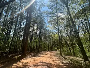 Cobb Ridge Campground