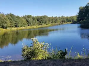 Granville State Forest