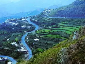 Mashearah Viewpoint