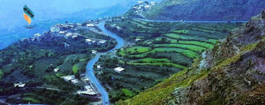 Mashearah Viewpoint