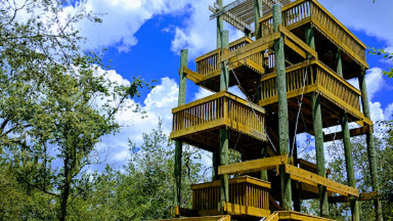 Green Swamp Wildlife Management Area - Cumpressco Unit