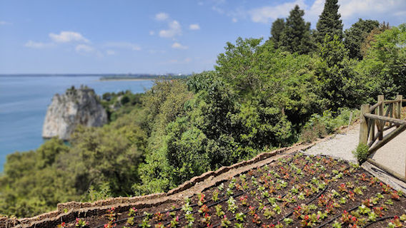 Duino