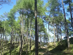 Bhairav Mandir Talla Sira