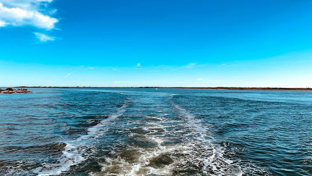 Captain Murphys Deep Sea Fishing