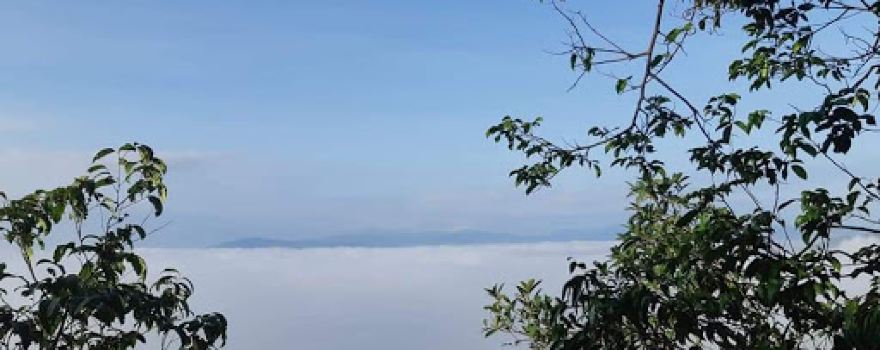 Bukit putih Kuwingmerah