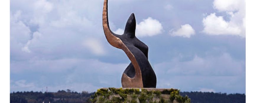 Cosmic Ship - Oscar Martín de Burgos