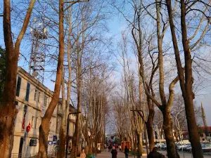 Park