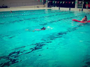 Inter-municipal pool Soule Mauleon Licharre