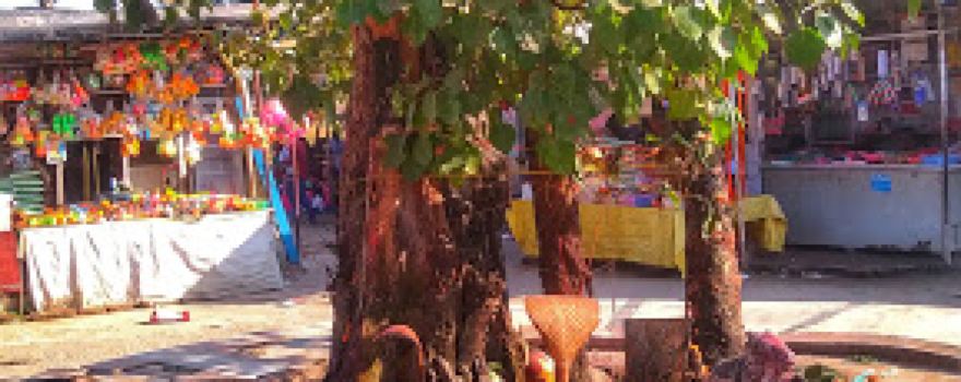 Gauri Shankar Mandir