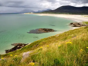 Harris