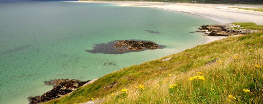 Harris