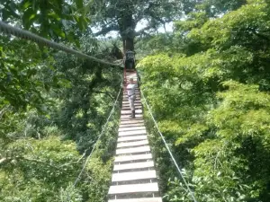 Selvaje