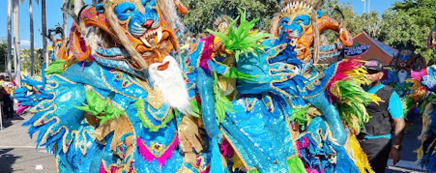 Museo Del Carnaval Vegano