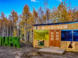 Parc municipal de Mirny